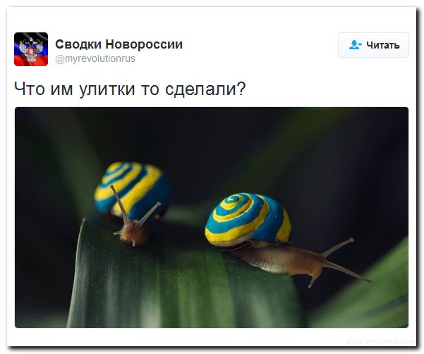 "Мыздобулы" в картинках. Смешных и не очень... 31-07-2016