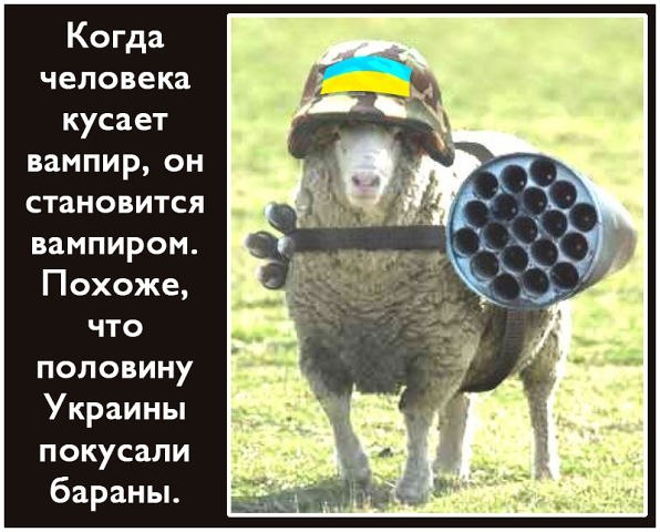 "Мыздобулы" в картинках. Смешных и не очень... 31-07-2016