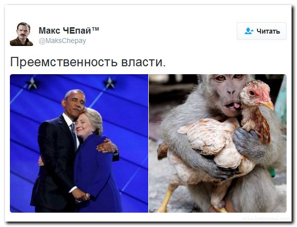 "Мыздобулы" в картинках. Смешных и не очень... 31-07-2016