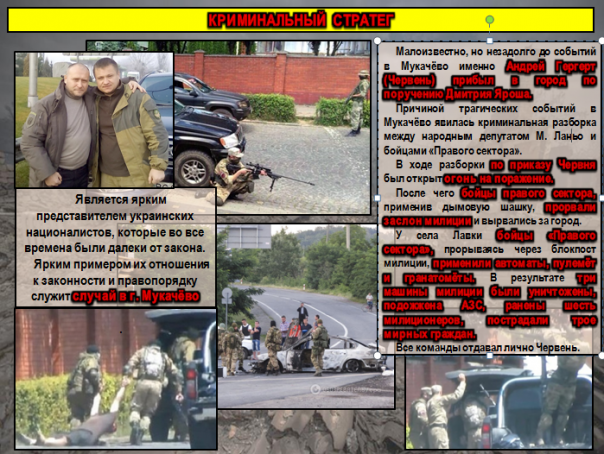 Выкидыш Майдана