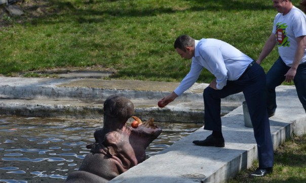 Зоопарк от Кличко за 300 миллионов. Арина Матвеева