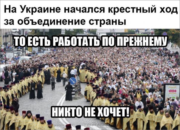 "Мыздобулы" в картинках. Смешных и не очень... 06-07-2016