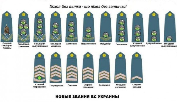 "Мыздобулы" в картинках. Смешных и не очень... 06-07-2016