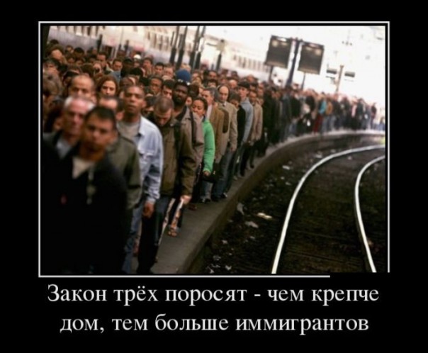 "Мыздобулы" в картинках. Смешных и не очень... 06-07-2016