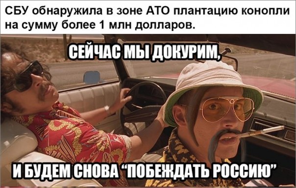 "Мыздобулы" в картинках. Смешных и не очень... 06-07-2016