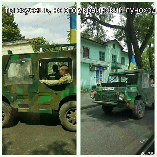 "Мыздобулы" в картинках. Смешных и не очень... 18-07-2016
