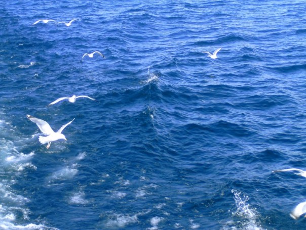 Отдых в России. Потрясающее путешествие на Байкал