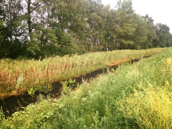 Выгребная яма за 4 миллиарда. Как выглядит украинская «стена» сегодня Выгребная яма за 4 миллиарда. Как выглядит украинская «стена» сегодня