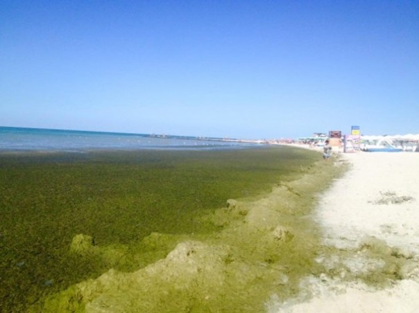 В Железном Порту у отдыхающих шок В Железном Порту у отдыхающих шок
