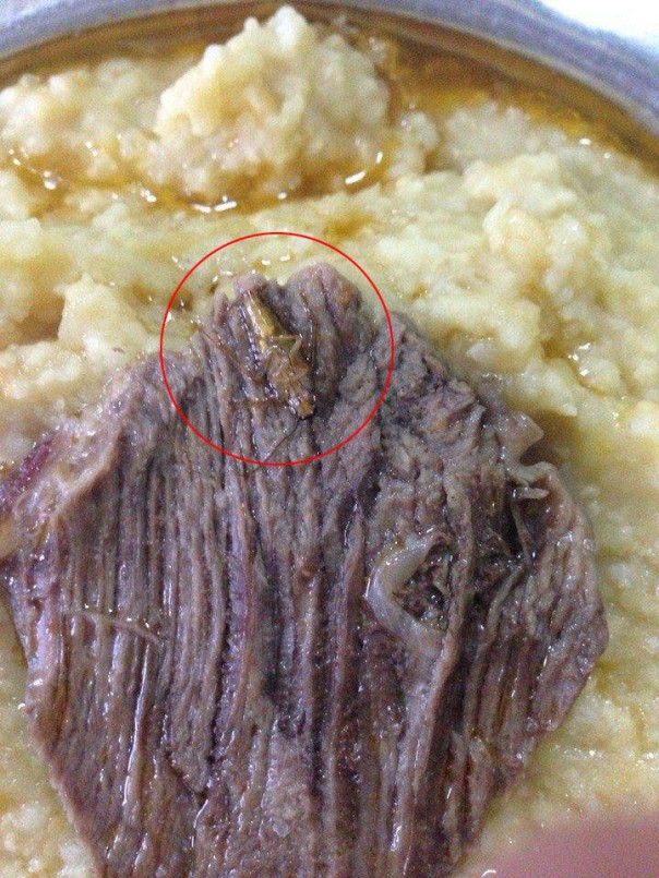 Юрий Бирюков показал пищу самой сильной армии континента с червями и тараканами Юрий Бирюков показал пищу самой сильной армии континента с червями и тараканами