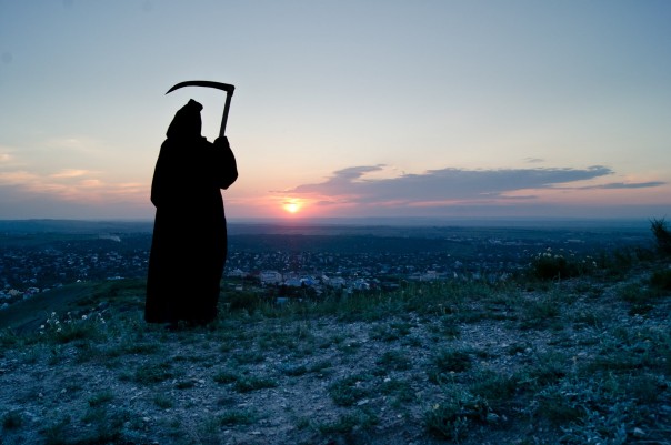 Друзья Украины. Ева Меркурьева