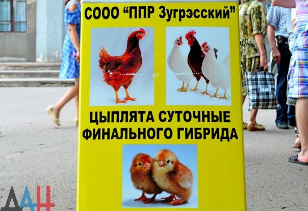 В Горловке начался масштабный республиканский фестиваль городов и районов