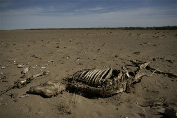 В Латвии бьют тревогу вымираем!