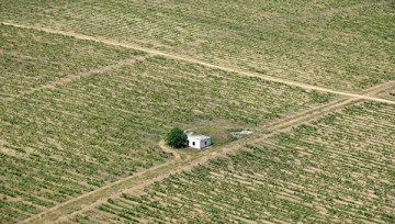 Аксенов поручил засеять все простаивающие земли