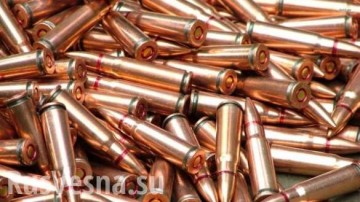 На помойке в Ужгороде найдены тысяча патронов и граната