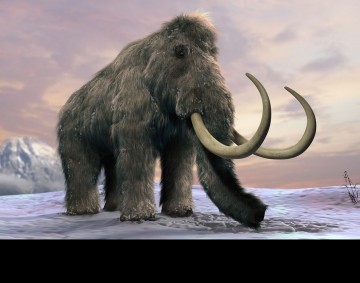 Сибирские и корейские ученые начали клонировать мамонта