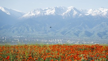 Россия построит торговые дома в 10 государствах