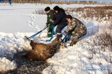 Люди, вызывающие восхищение не только  смелостью, но и добротой