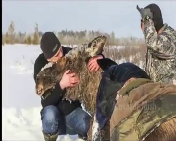 Люди, вызывающие восхищение не только  смелостью, но и добротой