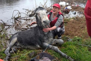 Люди, вызывающие восхищение не только  смелостью, но и добротой