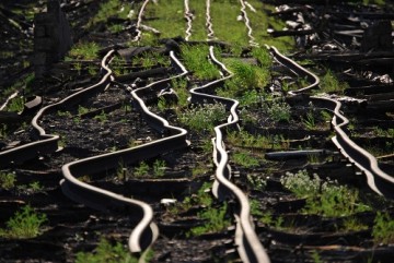 Немедленно! Разорвать Ассоциацию с ЕС и Соглашение о ЗСТ