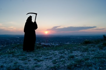 Друзья Украины. Ева Меркурьева