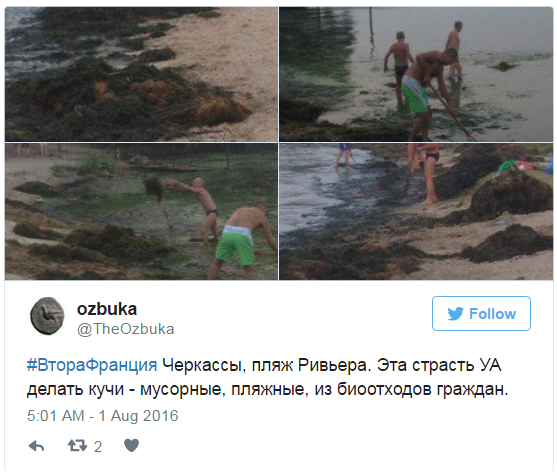 Москаль бьет тревогу: Закарпатье утопает в мусоре Москаль бьет тревогу: Закарпатье утопает в мусоре