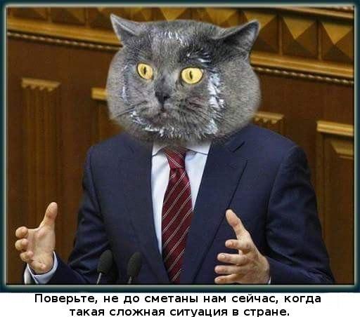 "Мыздобулы" в картинках. Смешных и не очень... 3-08-2016 "Мыздобулы" в картинках. Смешных и не очень... 3-08-2016