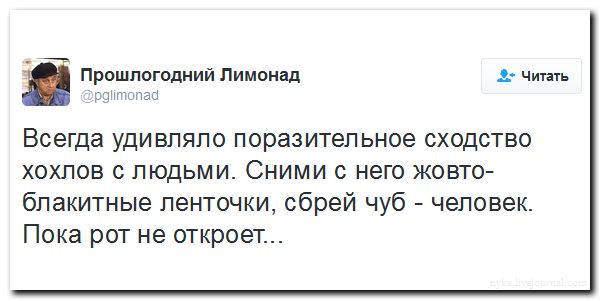 "Мыздобулы" в картинках. Смешных и не очень... 3-08-2016 "Мыздобулы" в картинках. Смешных и не очень... 3-08-2016