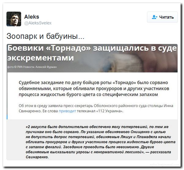 "Мыздобулы" в картинках. Смешных и не очень... 5-08-2016 (2) "Мыздобулы" в картинках. Смешных и не очень... 5-08-2016 (2)