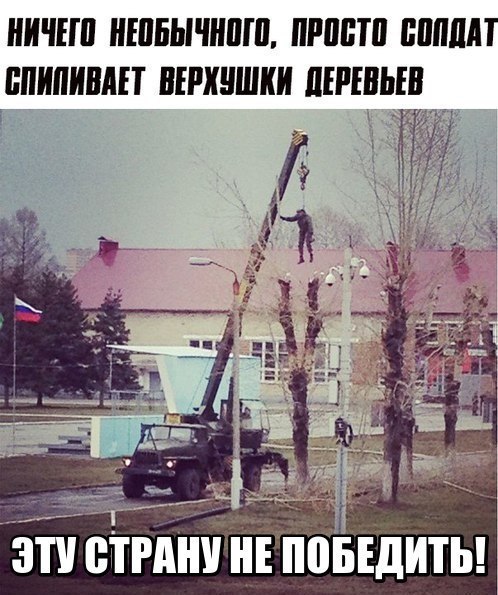 "Мыздобулы" в картинках. Смешных и не очень... 5-08-2016 (2) "Мыздобулы" в картинках. Смешных и не очень... 5-08-2016 (2)