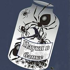 Прокуроры против антикоррупионеров: битва в банке с пауками