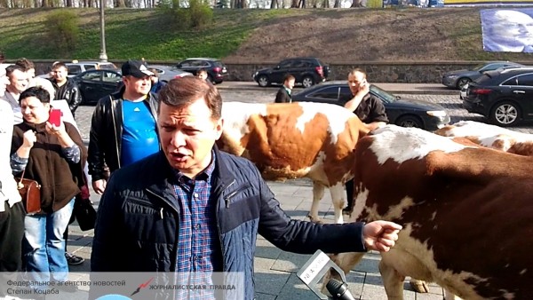 Полку «кремлевских агентов» прибыло: Олег Ляшко – против НАТО! Полку «кремлевских агентов» прибыло: Олег Ляшко – против НАТО!