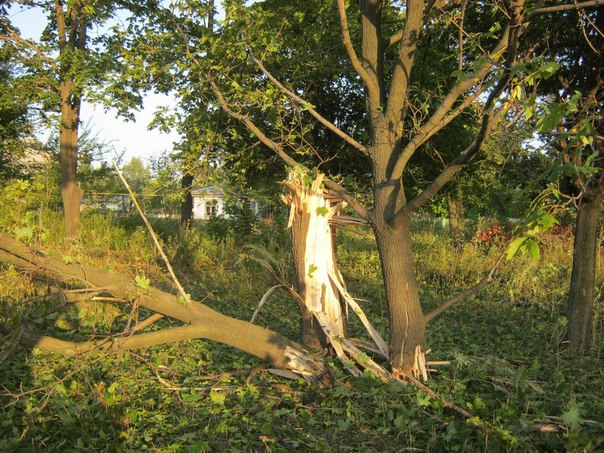 Сводка от МО ДНР 6 августа 2016 года. Укрофашисты за сутки почти 450 раз обстреляли прифронтовую территорию ДНР