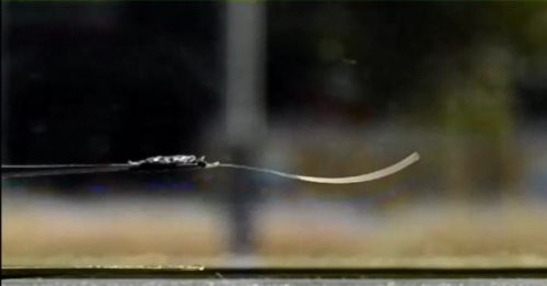 Новая подборка новостей мира науки и техники 06-08-2016