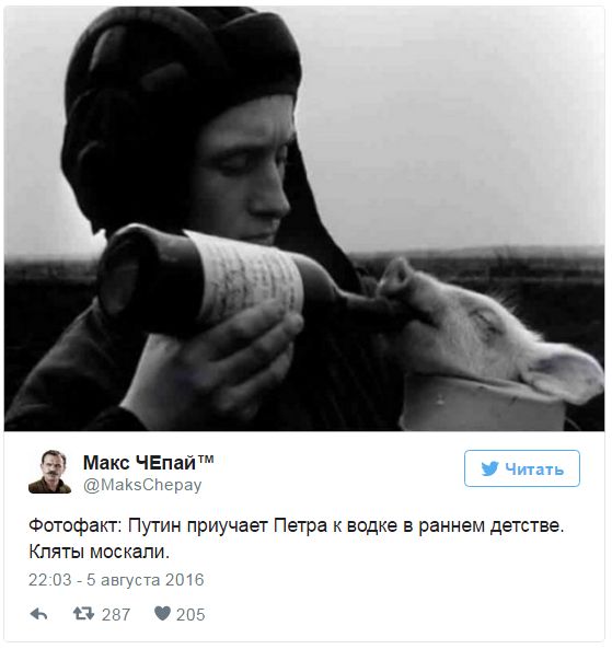 "Мыздобулы" в картинках. Смешных и не очень... 6-08-2016