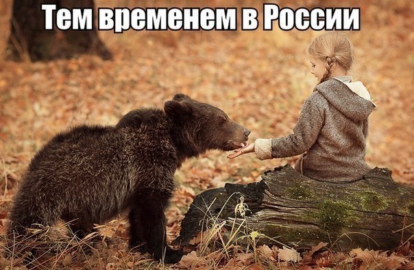 "Мыздобулы" в картинках. Смешных и не очень... 6-08-2016