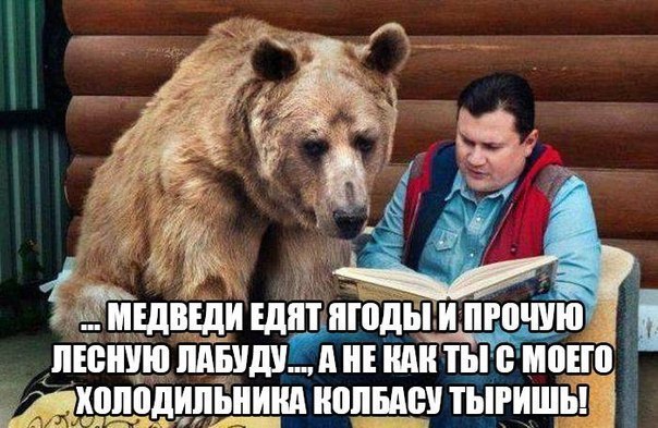 "Мыздобулы" в картинках. Смешных и не очень... 6-08-2016