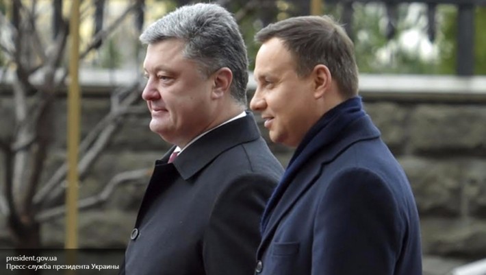 Польша и Украина готовят совместную декларацию о независимости Киева Польша и Украина готовят совместную декларацию о независимости Киева
