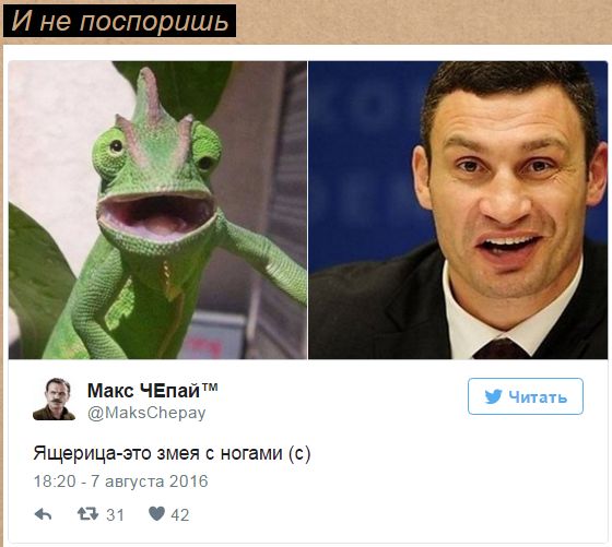 "Мыздобулы" в картинках. Смешных и не очень... 11-08-2016 "Мыздобулы" в картинках. Смешных и не очень... 11-08-2016