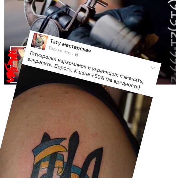 "Мыздобулы" в картинках. Смешных и не очень... 11-08-2016 "Мыздобулы" в картинках. Смешных и не очень... 11-08-2016