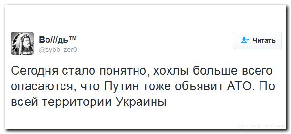 "Мыздобулы" в картинках. Смешных и не очень... 11-08-2016 "Мыздобулы" в картинках. Смешных и не очень... 11-08-2016
