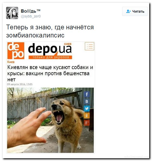 "Мыздобулы" в картинках. Смешных и не очень... 11-08-2016 "Мыздобулы" в картинках. Смешных и не очень... 11-08-2016