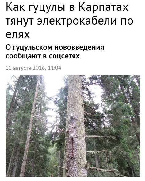 "Мыздобулы" в картинках. Смешных и не очень... 11-08-2016 "Мыздобулы" в картинках. Смешных и не очень... 11-08-2016