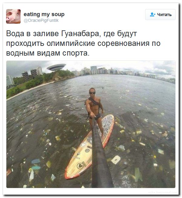 "Мыздобулы" в картинках. Смешных и не очень... 11-08-2016 "Мыздобулы" в картинках. Смешных и не очень... 11-08-2016