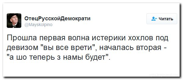 "Мыздобулы" в картинках. Смешных и не очень... 11-08-2016 "Мыздобулы" в картинках. Смешных и не очень... 11-08-2016