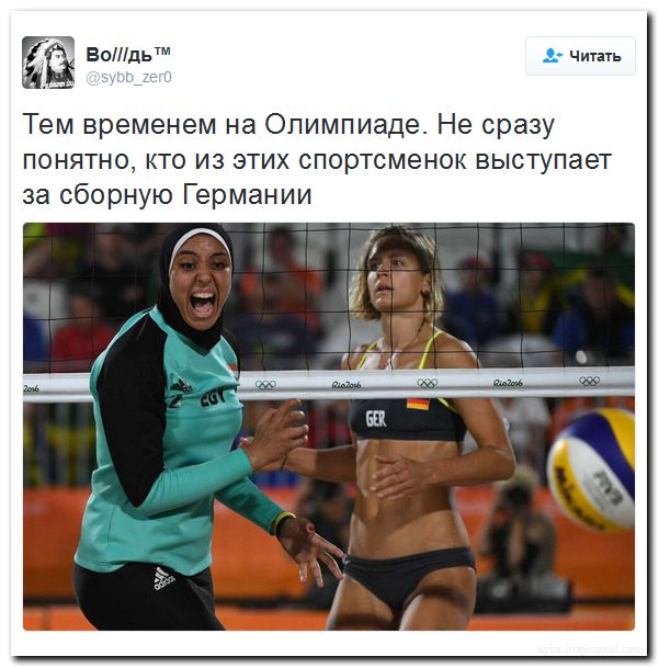 "Мыздобулы" в картинках. Смешных и не очень... 11-08-2016 "Мыздобулы" в картинках. Смешных и не очень... 11-08-2016