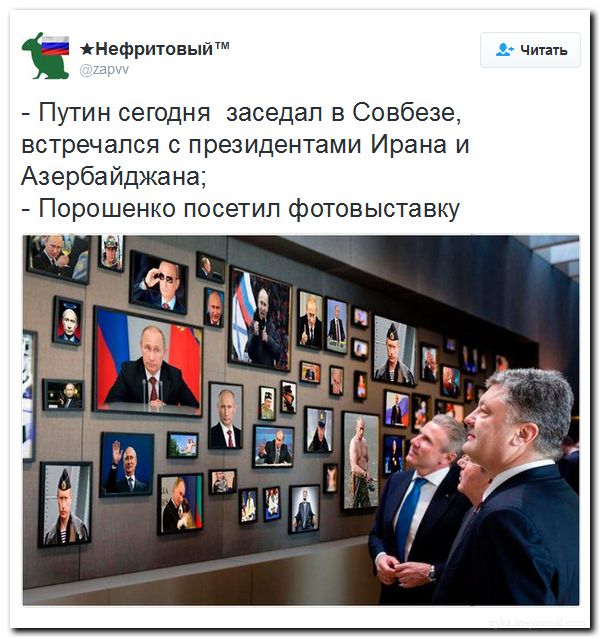 "Мыздобулы" в картинках. Смешных и не очень... 11-08-2016 "Мыздобулы" в картинках. Смешных и не очень... 11-08-2016