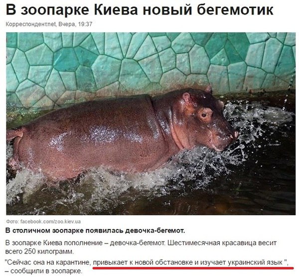 "Мыздобулы" в картинках. Смешных и не очень... 11-08-2016 "Мыздобулы" в картинках. Смешных и не очень... 11-08-2016