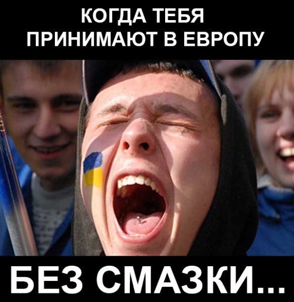 "Мыздобулы" в картинках. Смешных и не очень... 11-08-2016 "Мыздобулы" в картинках. Смешных и не очень... 11-08-2016